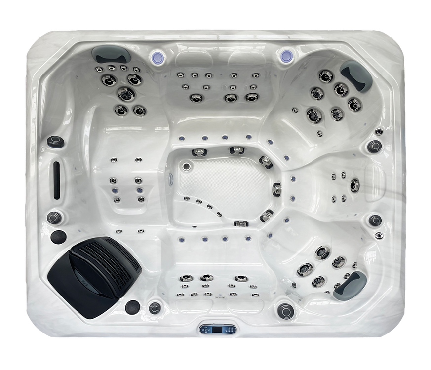 Platinum Spas Maximus