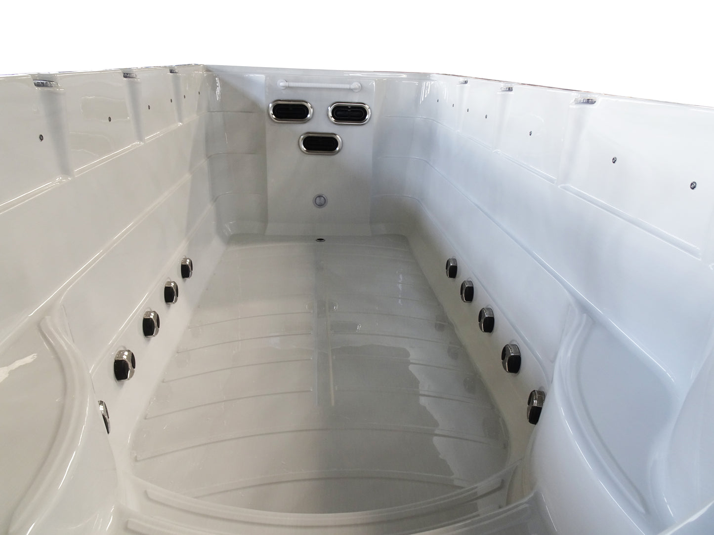 Swim Spa Zelus