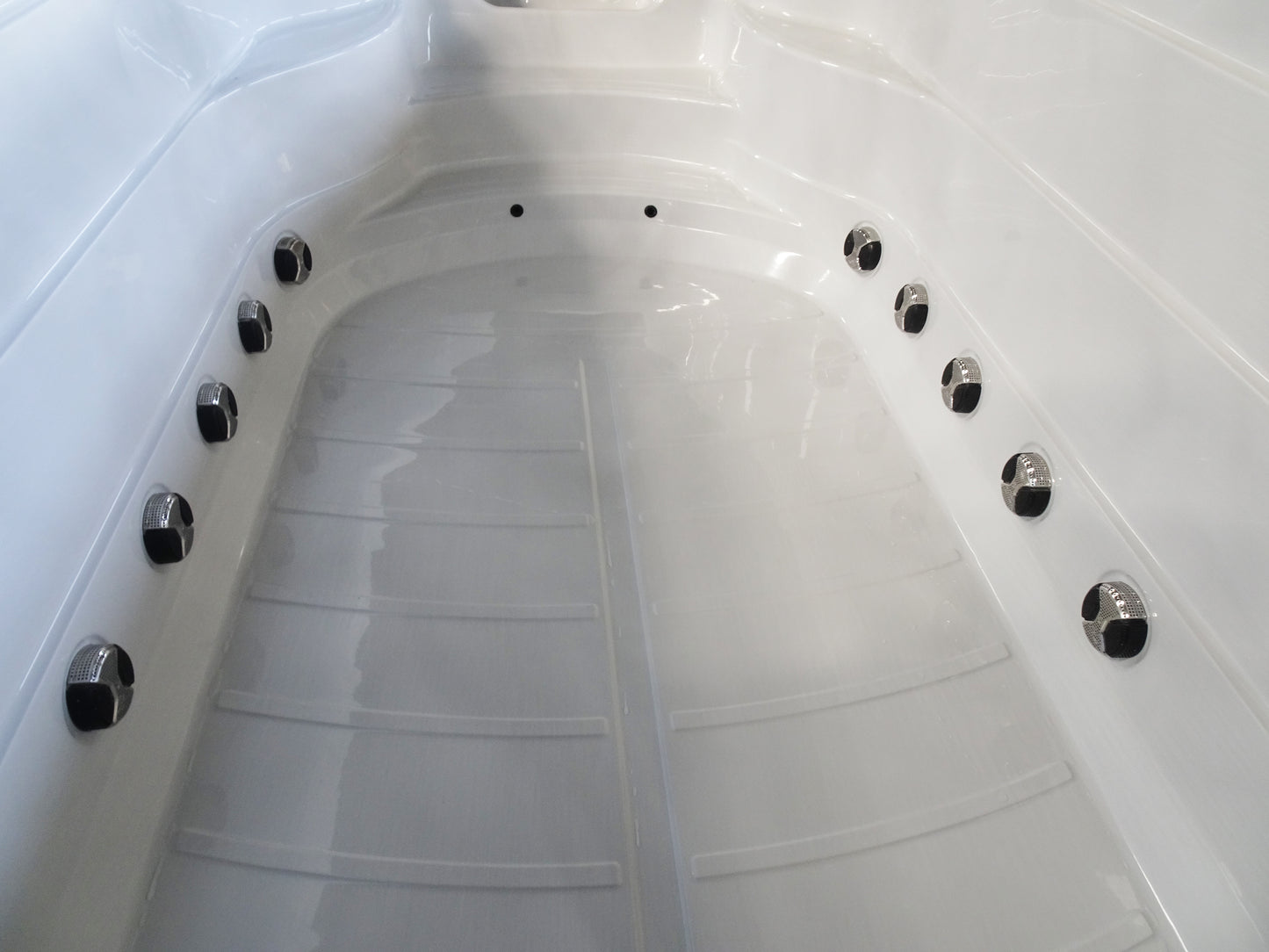 Swim Spa Zelus