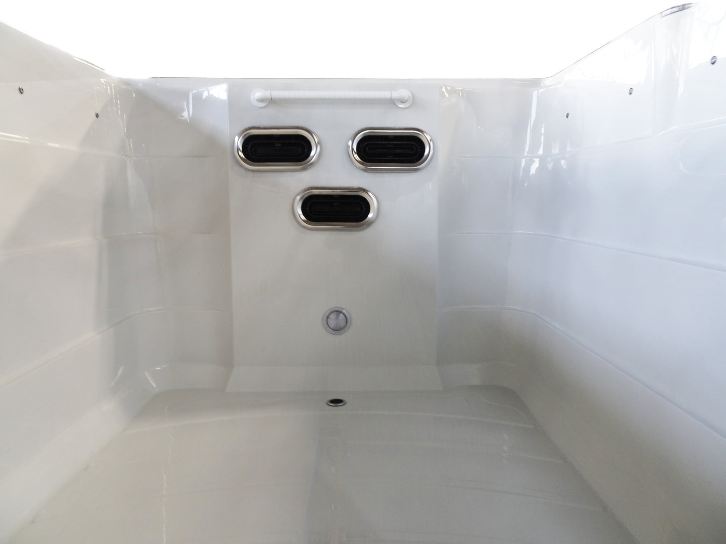 Swim Spa Zelus